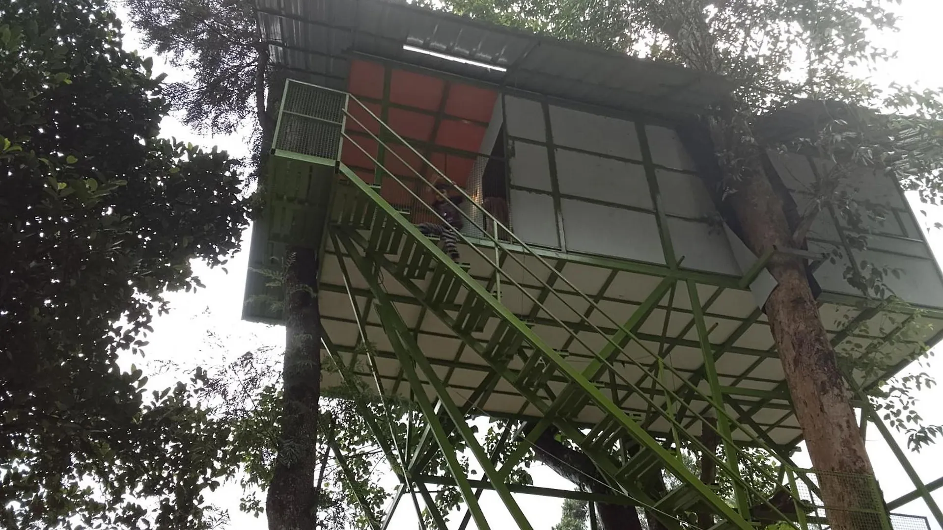 Freedom Resorts Chinnakanal Ινδία
